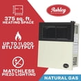 thumbnail image 2 of 11,000 Btu Direct Vent Natural Gas Heater, 2 of 9