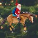 thumbnail image 4 of Christmas Tree Horse Pendant Ornaments 2D Acrylic Horse Christmas Ornaments Hanging Crafts Party Supplies 2024 Xmas Navidad, 4 of 5
