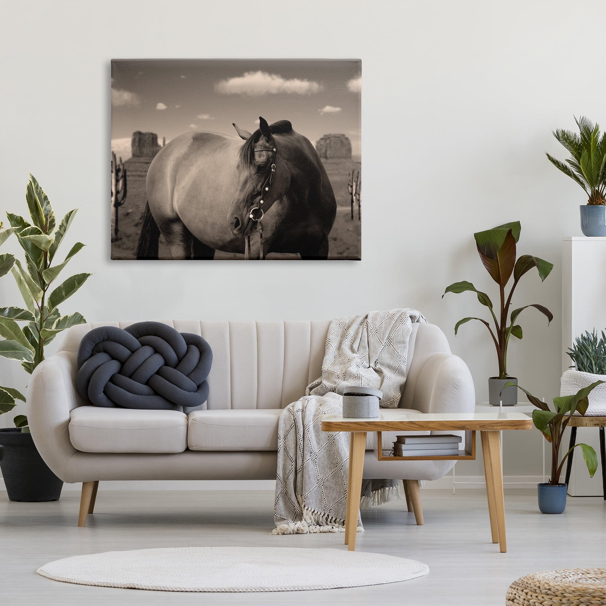 Stupell Industries Desert Horse Photography Animals & Insects Photography Gallery Wrapped Canvas Art Print Wall Art, 48 x 36