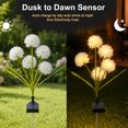 thumbnail image 2 of Rirool Solar White Hydrangea Garden Stake Lights, 3-Head Warm White LED Outdoor Waterproof Flower Pathway Lights for Yard Lawn Patio, Classic Dusk-to-Dawn Landscape Decor, 2 Pack, 2 of 8