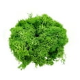 thumbnail image 2 of Bergamo Art 450g Preserved Reindeer Moss in Emerald Green, 2 of 4