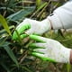 thumbnail image 4 of Guantes de jardinería universales, guantes protectores para plantación al aire libre, 4 of 6