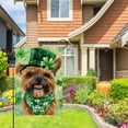 thumbnail image 2 of St Patricks Day Brussels-Griffon Garden Flags for Outside 12x18 Inch Double Sided, Pet Me I''m Irish Small Yard Decoration Farmhouse Holiday Outdoor(14151), 2 of 6