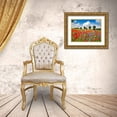 thumbnail image 3 of Krahmer, Frank 14x12 Gold Ornate Wood Framed with Double Matting Museum Art Print Titled - Poppies and vicias in meadow, Mecklenburg Lake District, Germany, 3 of 4