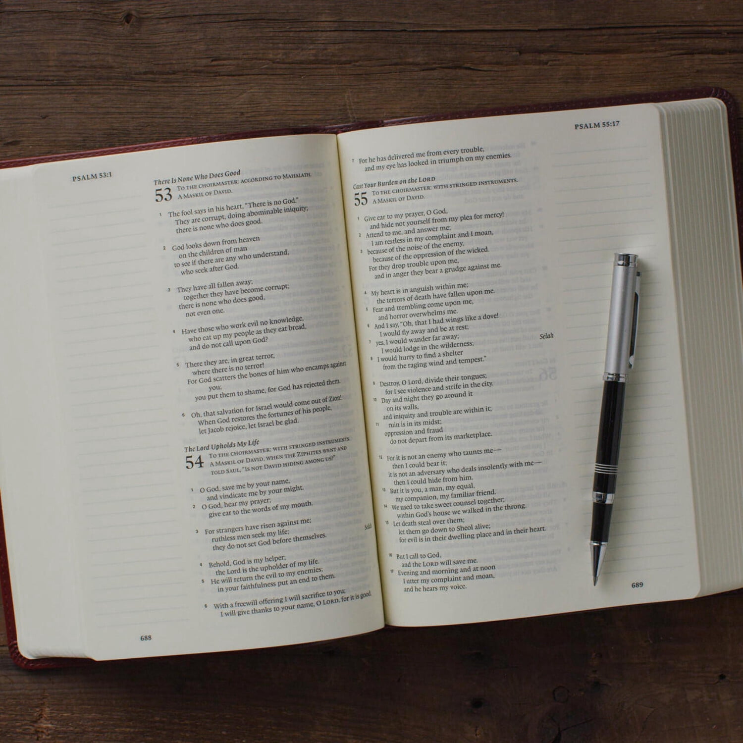 ESV Single Column Journaling Bible, Large Print (Trutone, Burgundy/Red, Timeless Design), (Hardcover)