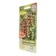 thumbnail image 2 of Pack De 3 Semillas Jitomate Cereza 0.2G Rojo Vita, 2 of 3
