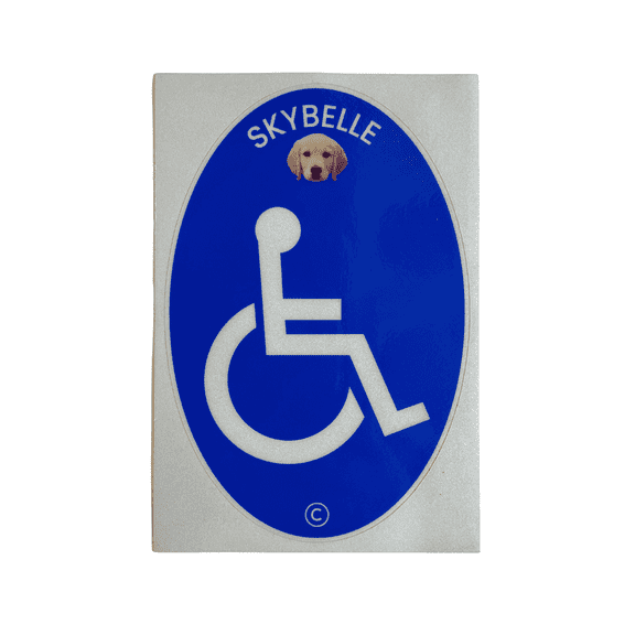 Skybelle Safety Stickers - Any Disabilitiy - Highly Reflective up to 800ft - Firefighter Supported and Co-Created -Waterproof, Highly Fade Resistant, and Bubble-Proof