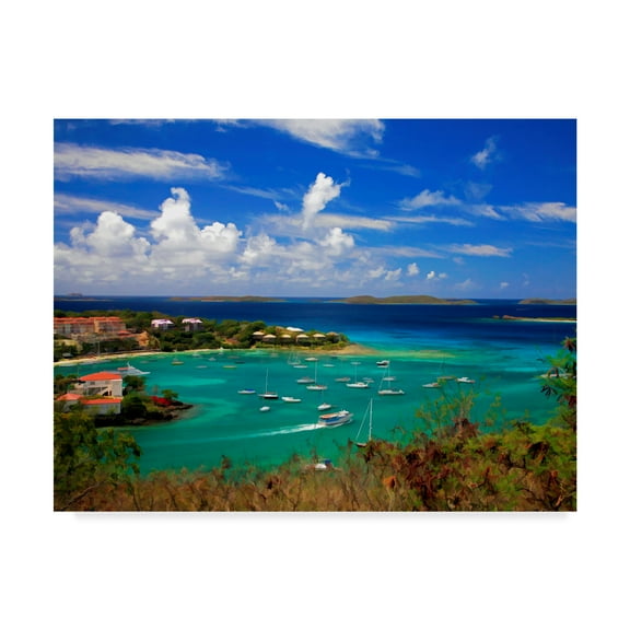 Trademark Fine Art 'St. Johns' Canvas Art by J.D. McFarlan