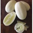 thumbnail image 2 of Dragon Eggs Seeds for Planting - 20 Seeds - White Cucumber Seeds - Ships from Iowa, USA, 2 of 4