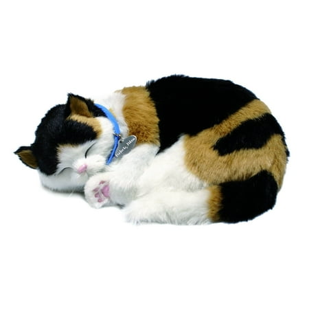 Calico Cat With Interesting Gps >> Calico Cat Toy Walmart Com Calico Cat With Interesting Gps >> Calico Cat Toy Walmart Com
