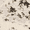 Multi-color, variant on Safavieh Porcello Adamina Faded Traditional Area Rug or Runner