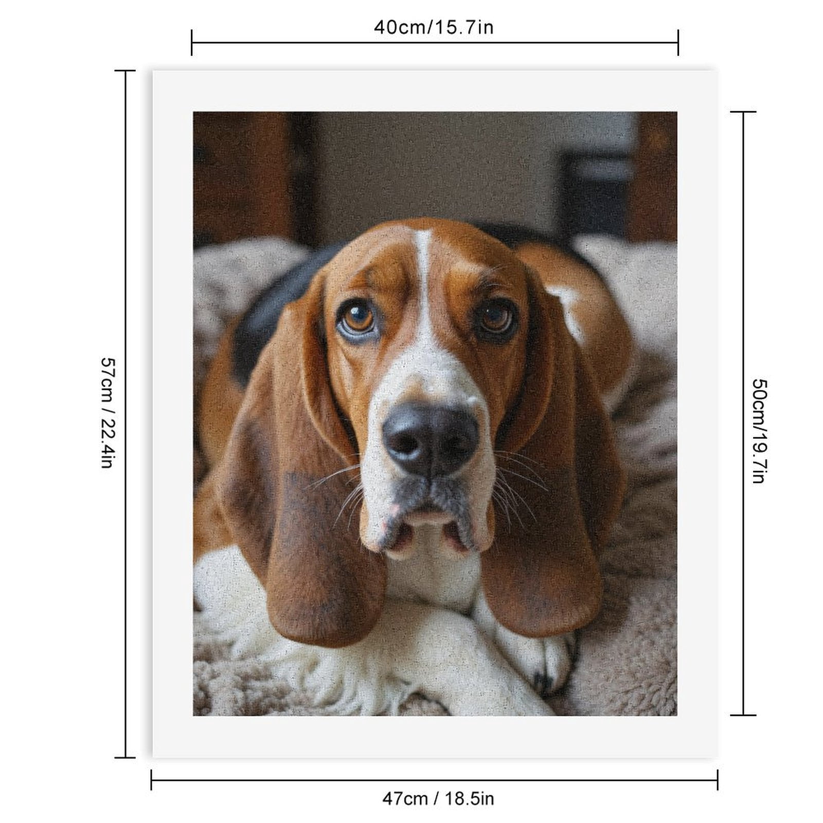Paint by Numbers Kit for Adults, Basset Hound Dog Relaxing Home Paint by Numbers, Easy Paint by Numbers Kit for Adults Beginner, DIY Adult Paint by Number Kits on Canvas, Home Decor