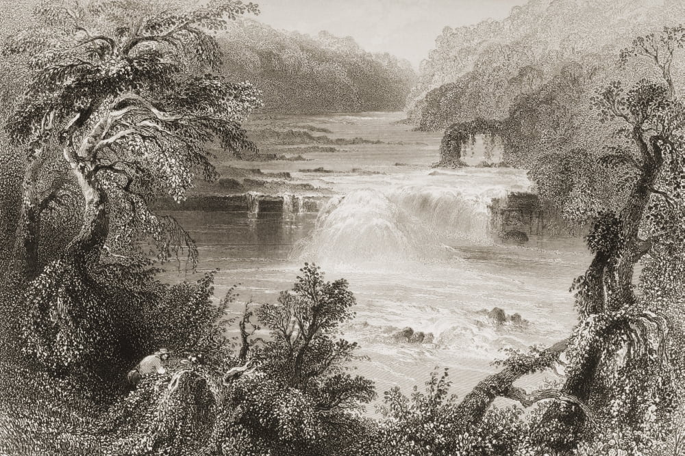 Salmon Leap At Leix