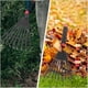 thumbnail image 2 of Leaf Rake Plastic Rake Gardening Rake Tool Small Garden Rake with Handle Lawn leveling, 2 of 5
