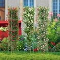thumbnail image 2 of Costway 2-Pack Garden Trellis 57" Plant Support & Tomato Cages with Adjustable Height, 2 of 10