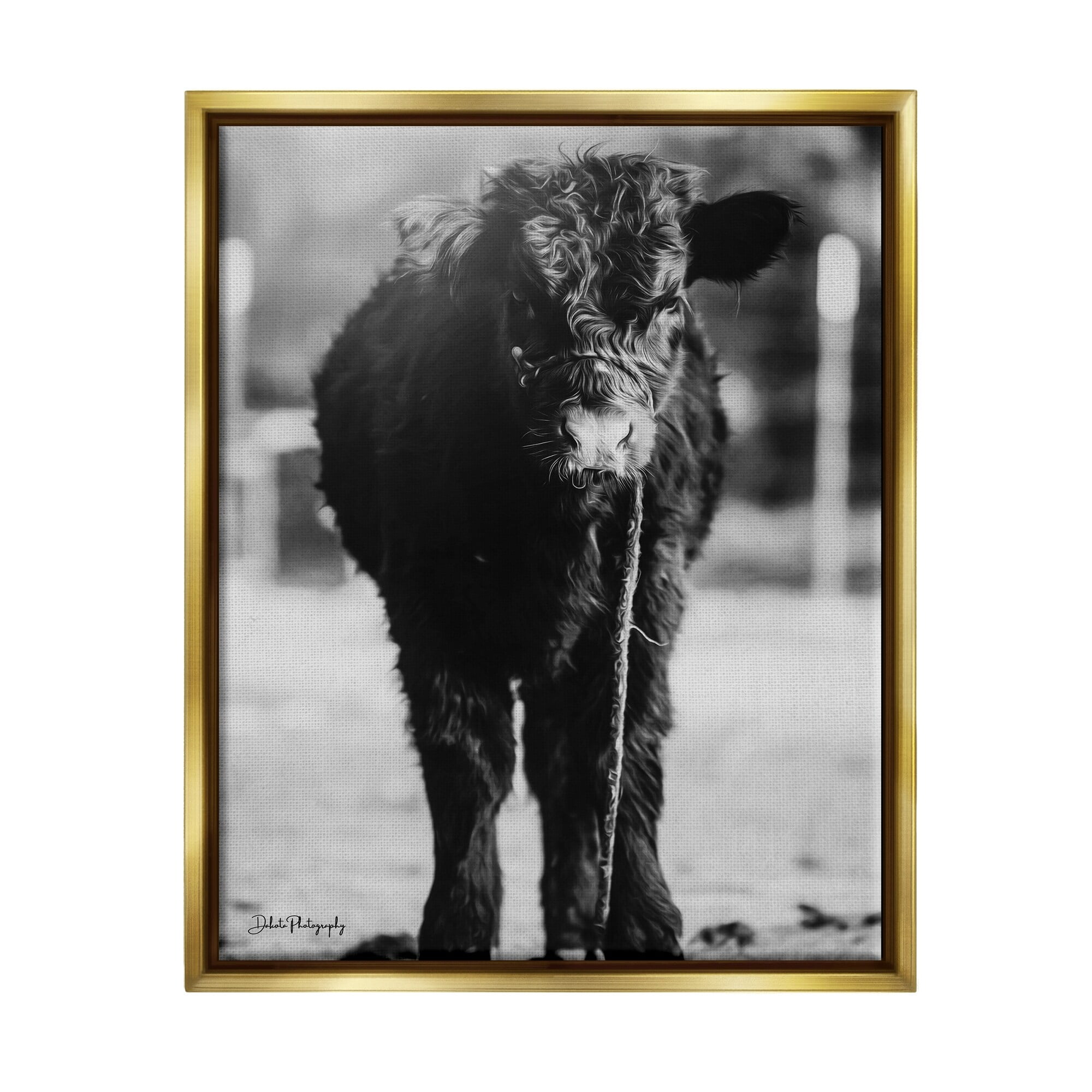 Stupell Industries Baby Cattle Calf Grazing Rural Farm Photography Photograph Metallic Gold Floating Framed Canvas Print Wall Art, Design by Dakota Diener