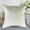 Beige, variant on Decorative Polyester Pillow Cover 15.75 x 15.75 Inch | Solid Color Cushion Protector for Sofa & Bedroom | Breathable Fabric | Multiple Colors | 1 Pack