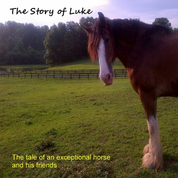 The Story of Luke, (Paperback)