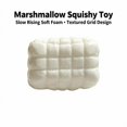 thumbnail image 3 of Marshmallow Squishy Toy with Slow Rising Soft Foam and Textured Grid Design, Single Piece, White, for Adults and Kids, Relaxation Sensory Squeeze Toy, 3 of 3