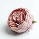 thumbnail image 5 of 20 Unids Flor de Peonía Cabeza Artificial Flores Falsas Boda Decoración de de Vacaciones, 5 of 9