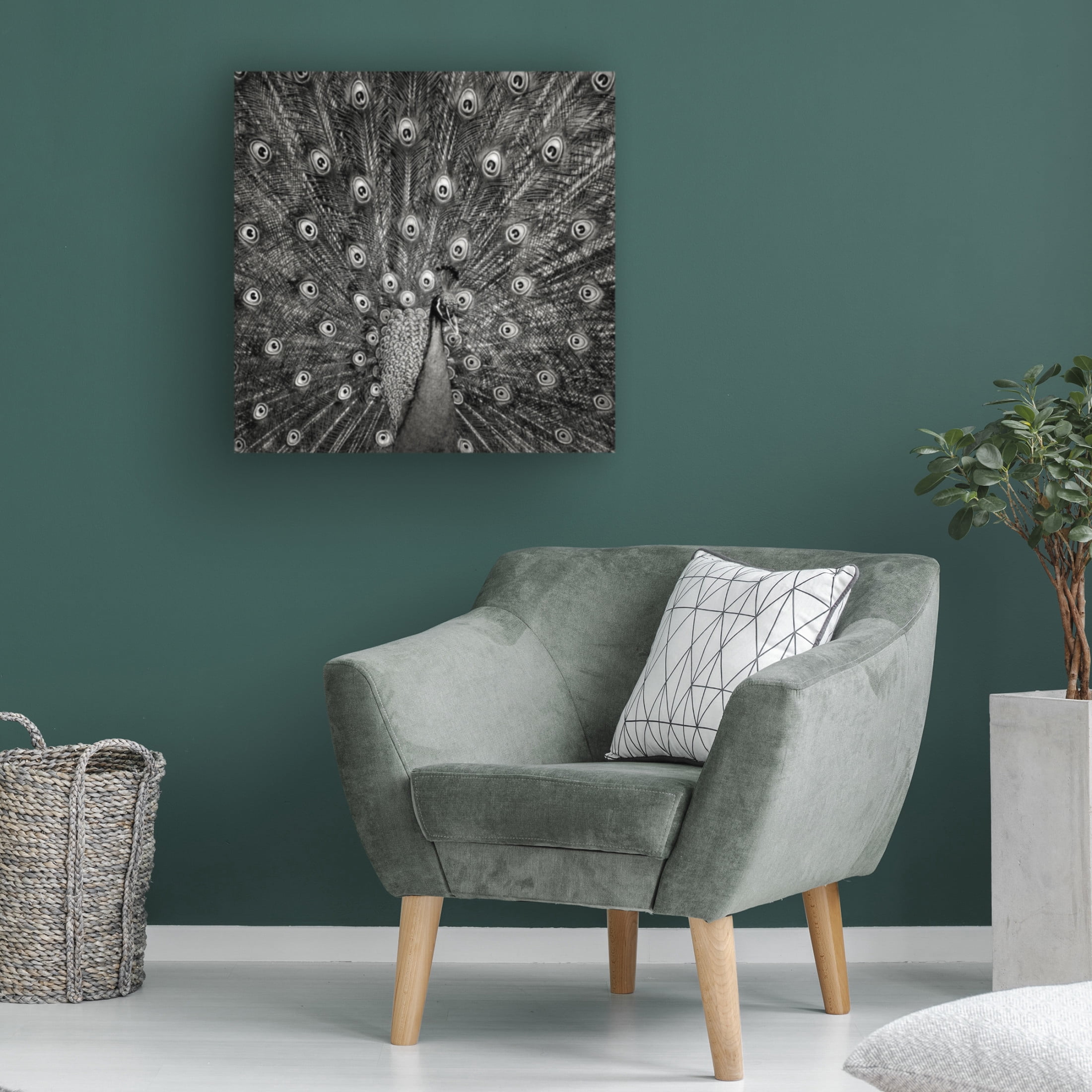 Trademark Fine Art Christian Meermann Peacock 6 Canvas Wall Art