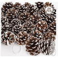 thumbnail image 1 of 24 Pzs Adornos Navideños Xtellar Piñas Colgantes Para Árbol Y Regalo, 1 of 1