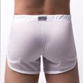 thumbnail image 5 of Miqool Mens 3 Inch Mesh Booty Shorts Breathable Casual Workout Gym Running Shorts Home Lounge Sleep Shorts Beach Swim Shorts, 5 of 5
