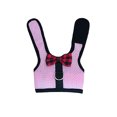 thumbnail image 1 of CAROOTU Pet Mesh Soft Harness With Leash Small Animal Vest for Hamster Rabbit Bunny, 1 of 7