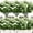 White, variant on Viworld 6 Bundles Artificial Eucalyptus Artificial Grasses Fake Greenery Boxwood Stems Fake Plants and Greenery Springs for Farmhouse,Home,Garden,Office,Patio,Wedding and Indoor Outdoor(Eucalyptus)