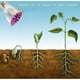 thumbnail image 2 of Lámpara de crecimiento innovadora de espectro completo, bombilla LED para cultivo que ofrece tecnología LED avanzada, aplicación multipropósito para diversas necesidades de jardinería, la, 2 of 5