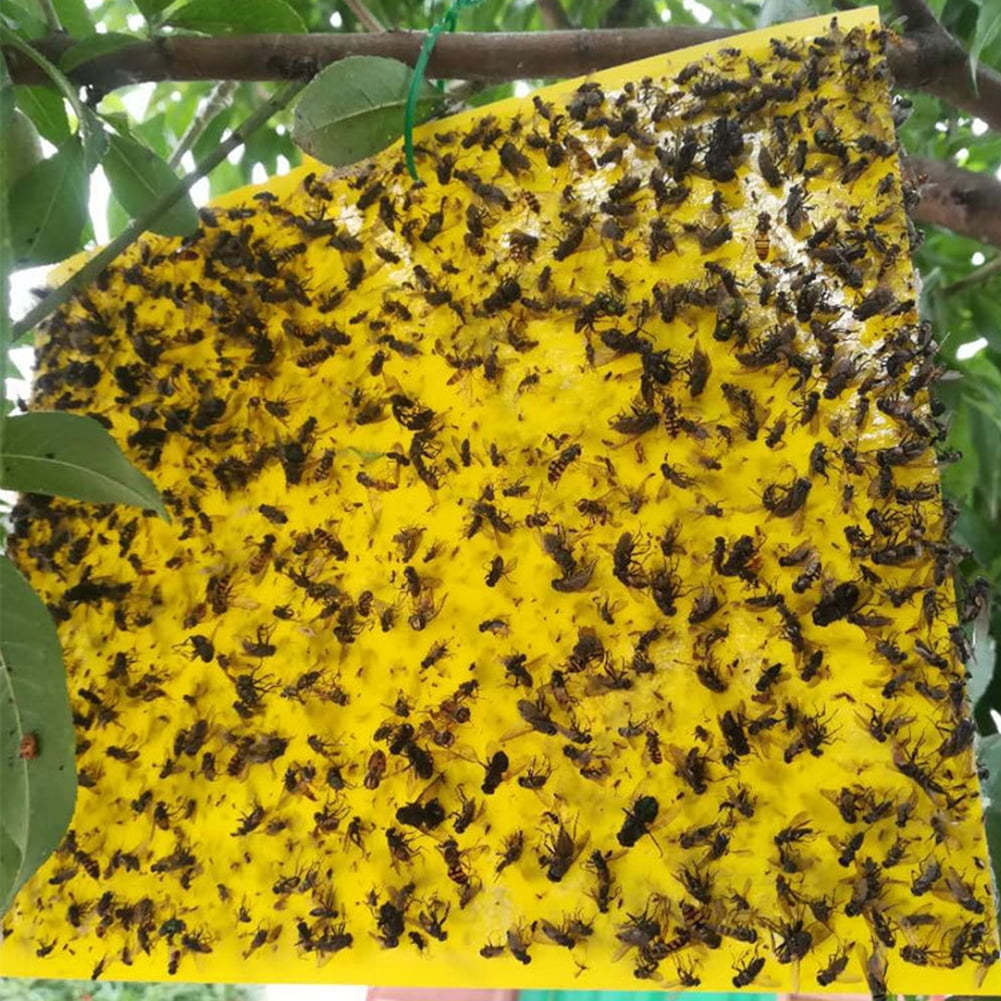 YiaNXan 100 Pack Dual-Sided Yellow Sticky Traps, 5.9" x 7.87" Fruit Fly Traps Fungus Gnat Traps for Indoor Outdoor Use Protect The Plant