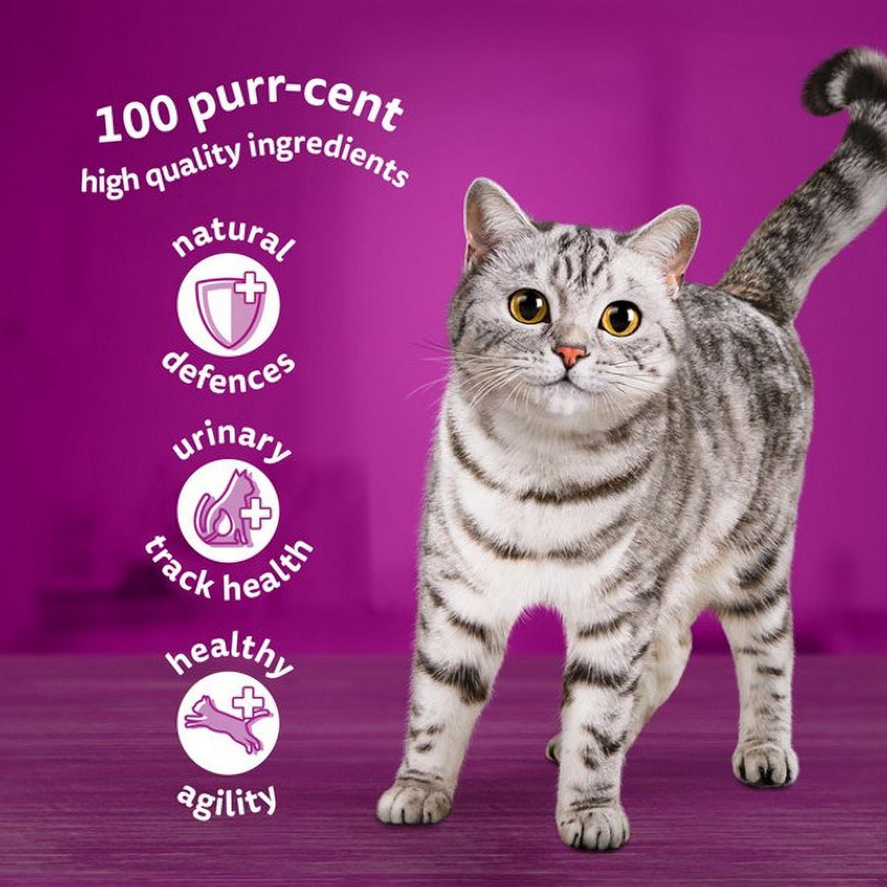 WHISKAS 7+ Cat Pouches Poultry Feasts in Gravy Cat Food 12x85g