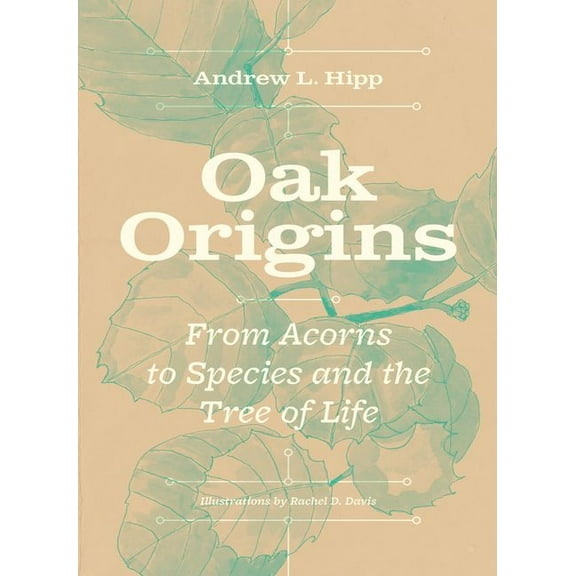 Oak Origins: From Acorns to Species and the Tree of Life, (Hardcover)