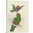thumbnail image 1 of ARTCANVAS Eclectus Roratus Polychloros 1830 Canvas Art Print by Edward Lear - Size: 26" x 18" (0.75" Deep), 1 of 9