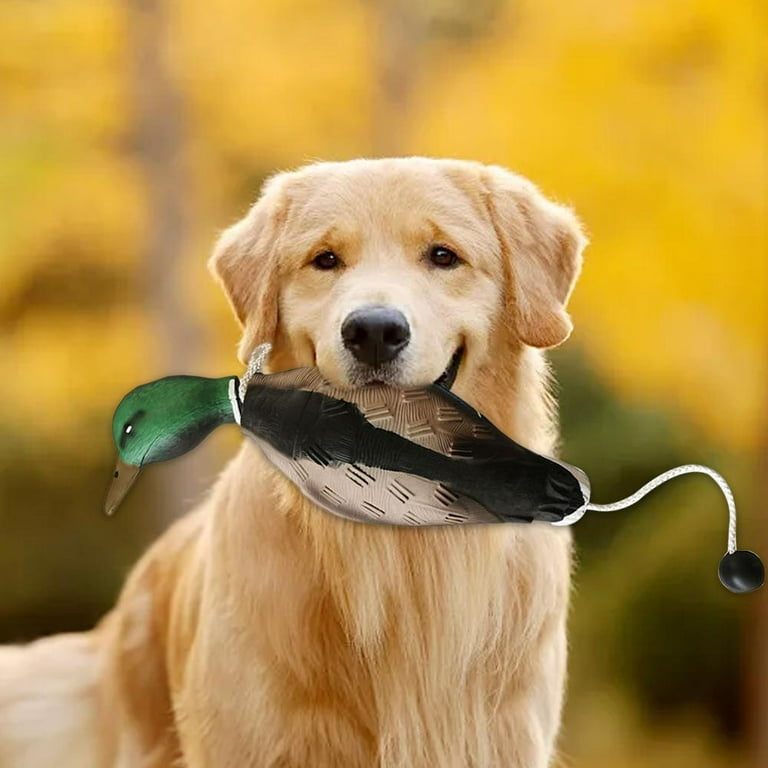 KWJNH Dog Training Duck Dummy Trainer, Dog Retrieval Training Toys