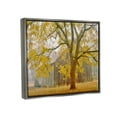 thumbnail image 3 of Stupell Industries Rustic Cabin Autumn Foliage Landscape Photography Gray Floater Framed Art Print Wall Art, 3 of 6