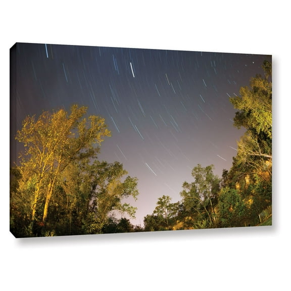 Cody York "Star Trails" Floater-Framed Gallery-Wrapped Canvas