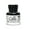 black, variant on FW Calli Calligraphy Ink burgundy (pack of 3)