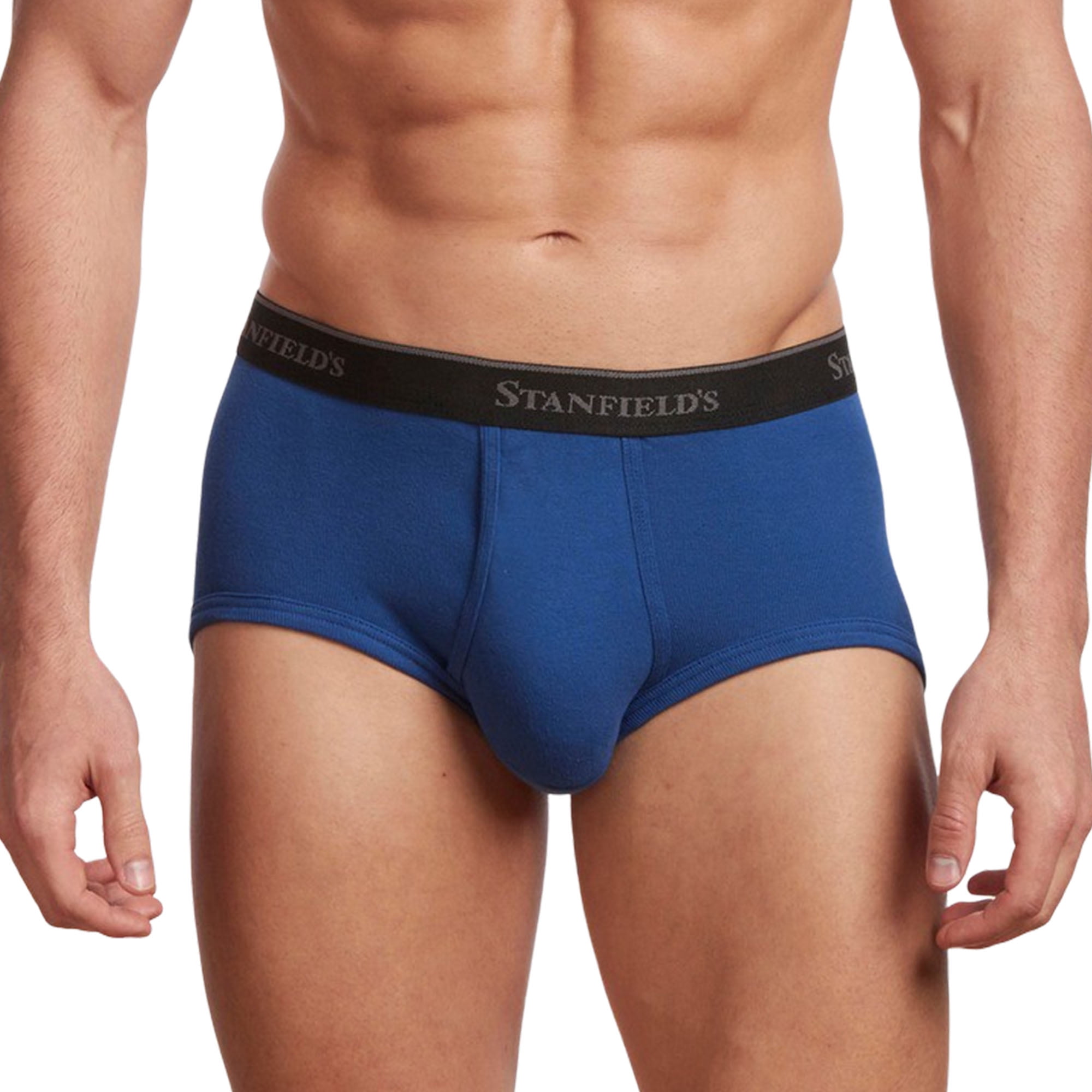 Stanfield's 3-Pack Adult Mens Premium Cotton Regular Rise Briefs, Sizes S-XL