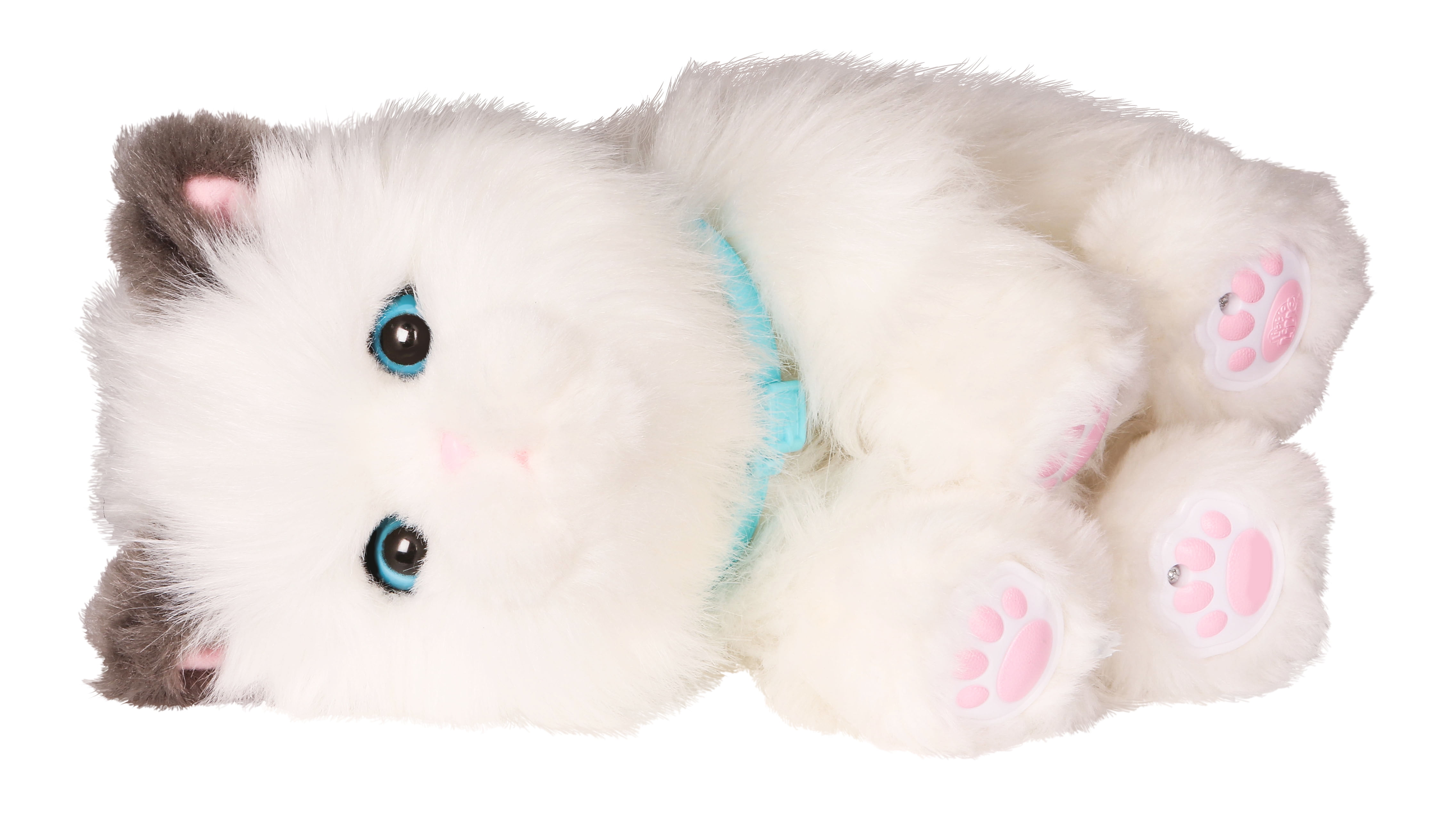 sleepy kitty little live pets