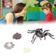 thumbnail image 3 of Juguete de Estatuilla de Crecimiento de Araña Conjunto de Modelo de Ciclo de Vida de Crecimiento de Araña Adornos de Figuras de Animales de Simulación para la Colección de ANGGREK Otros, 3 of 8