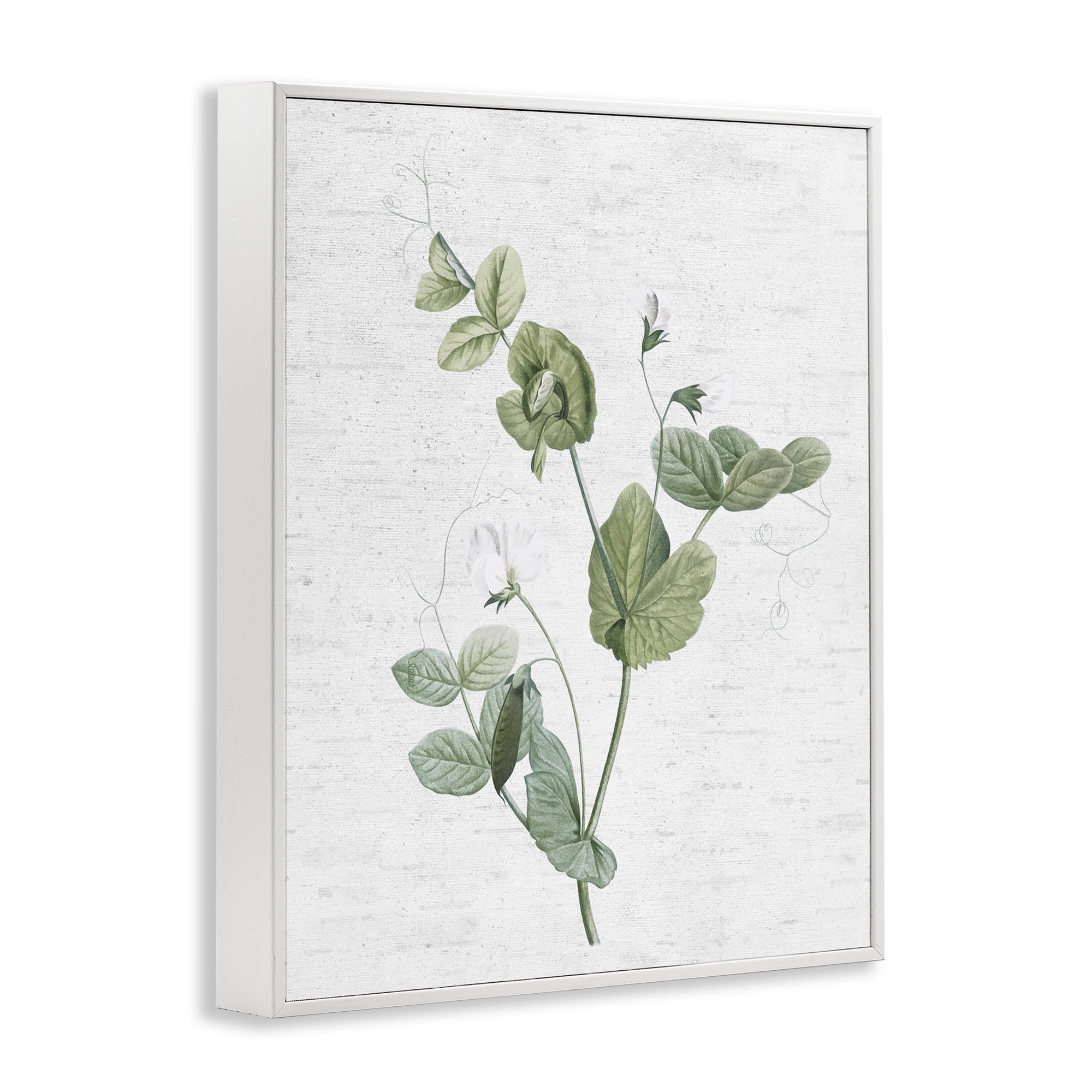 Stupell Industries Soft Country Botanical Botanical & Floral Painting White Framed Art Print Wall Art, 11 x 14