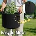 thumbnail image 7 of PHYEX 12-Pack 7 Gallon Black Grow Bags, Aeration Fabric Pots with Durable Handles, 7 of 7