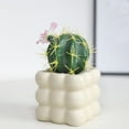 thumbnail image 4 of Adornos De Cerámica Cactus artificial en maceta con flores blancas, planta suculenta falsa para escritorio, mesa y decoración del hogar (1 unidad) JASKFLY, 4 of 8