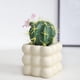 thumbnail image 4 of Faux Cactus Greenery in Ceramic Pot for Home Office Desk Decor 1-Piece, 4 of 6