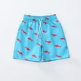 thumbnail image 4 of XADYUY Boys Swim Trunks 14-16 Quick Dry Beach Shorts Kids Cute Shark Print Boys Bathing Suits Size 10-12 Summer Casual Athletic Teen Boys Swim Trunks,5-6 Years Sky Blue, 4 of 7