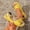 Yellow, variant on Elegant Women Peep Toe Flat Sandals Summer Solid Color Bow Accent Lightweight Slip on Casual Outdoor Dress Shoes Yellow 9.5(43)