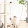 thumbnail image 2 of Lifting Cat Ball Toy Electric Interactive Automatic Pet Cat Ball Teaser Toys Pet Electric Lifting Cats, 2 of 4