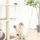 thumbnail image 2 of Lifting Cat Ball Toy Electric Interactive Automatic Pet Cat Ball Teaser Toys Pet Electric Lifting Cats, 2 of 4