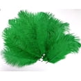 thumbnail image 5 of Kelly Green Ostrich Feather 8-12 inch size per Six, 5 of 5
